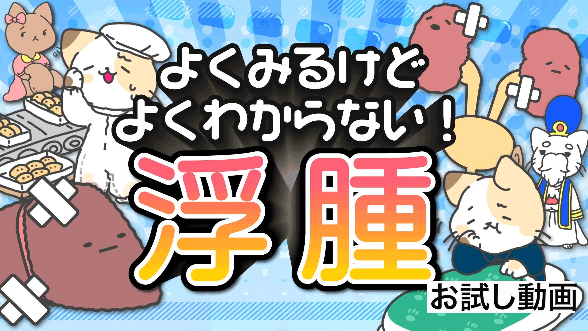解剖生理学1から3弾おまとめ！➕USB mediLink動画 | 医師・医学生のための動画配信サイト