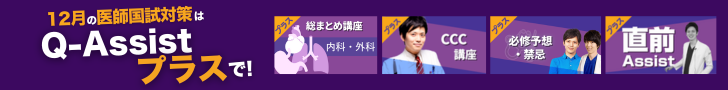 Q−Assistプラス（12月）